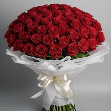 Букет 101 Красная роза Блэк Мэджик в Миасское