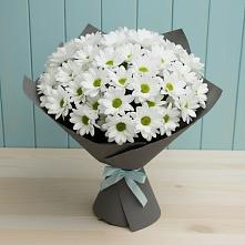 Букет цветов из:  Хризантемы #REPLACE_PRED# Миасское