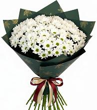 Букет цветов из:  Хризантемы #REPLACE_PRED# Миасское