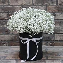 Цветочная композиция из Гипсофила в шляпной коробке в Миасское