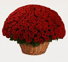 Премиум букет из: Розы в Миасское